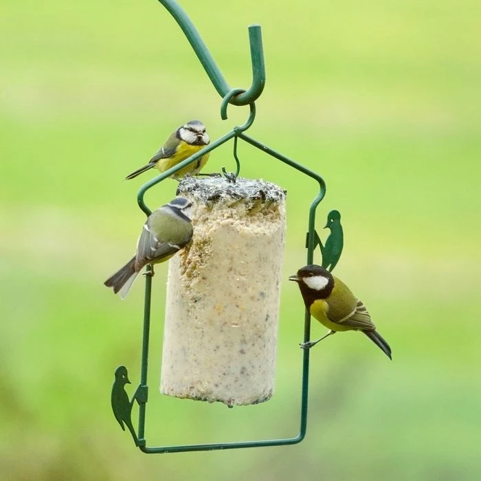 National Trust Seed Peanut Cake (1 Litre) - Image 4