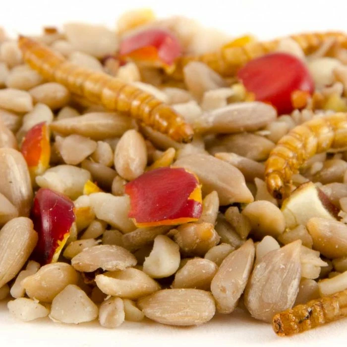 Hi-Energy Supreme Bird Seed Mix - Image 3