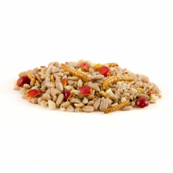 Hi-Energy Supreme Bird Seed Mix - Image 4
