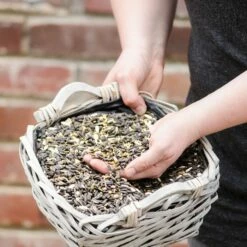 Bird Feeder Seed Mix
