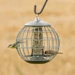 National Trust Athena Bird Seed Guardian Feeder