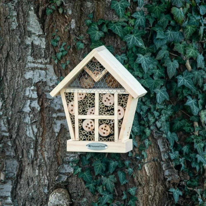 National Trust Apex Insect House - Image 2