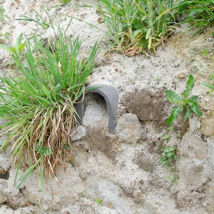 WoodStone® Kingfisher Tunnel - Image 2