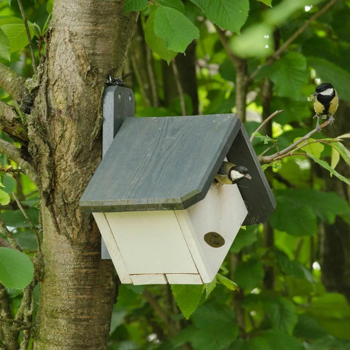 Zurich 32mm Nest Box - Image 2
