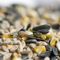Hi-Energy Seed Mix For Birds