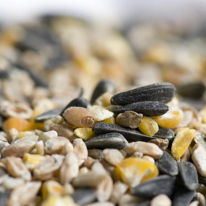 Hi-Energy Seed Mix For Birds