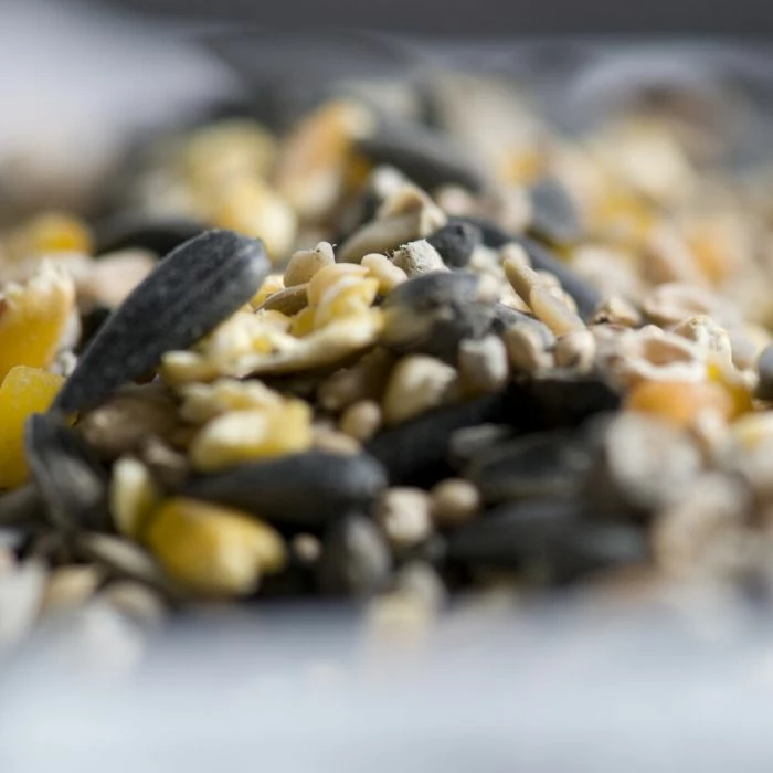 Hi-Energy Seed Mix For Birds - Image 2