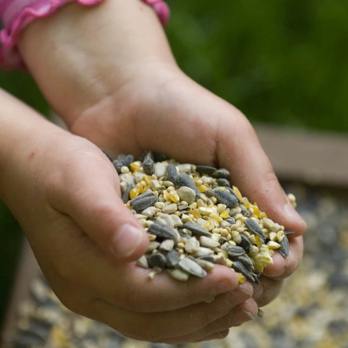 Hi-Energy Seed Mix For Birds - Image 3