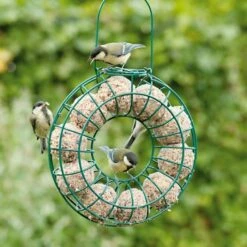 Fat Ball Feeding Ring